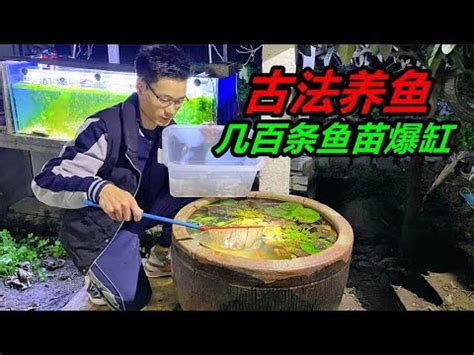 空魚缸利用